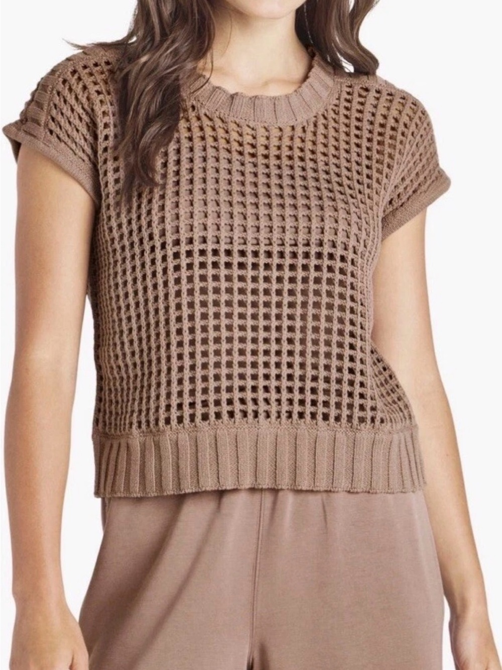 Splendid x Cella Jane Pointelle Sweater - Taupe